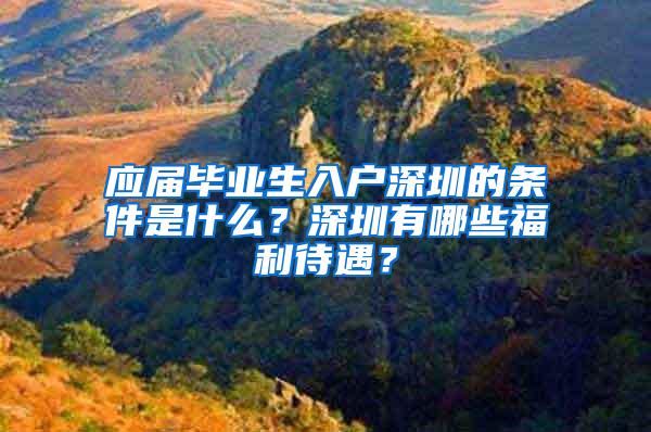 应届毕业生入户深圳的条件是什么？深圳有哪些福利待遇？