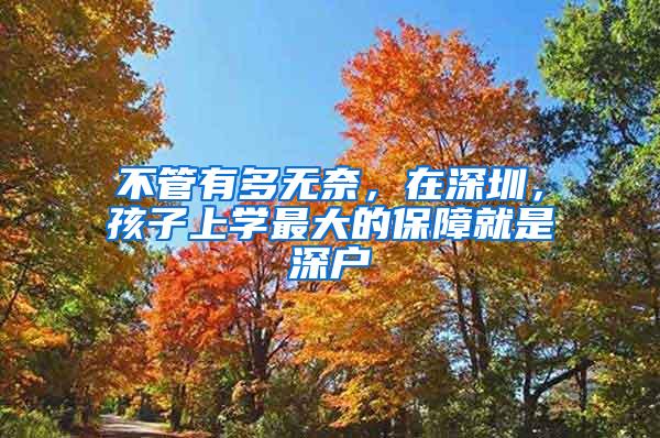 不管有多无奈，在深圳，孩子上学最大的保障就是深户