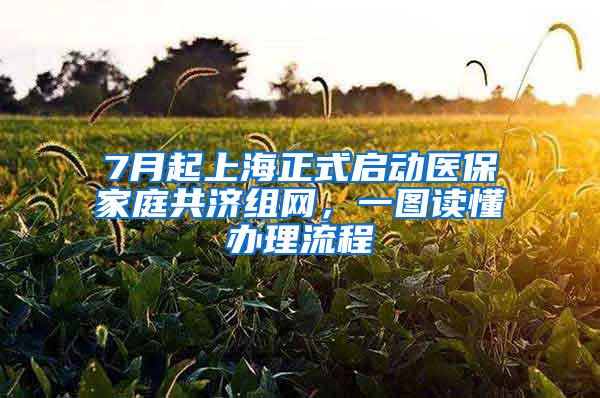 7月起上海正式启动医保家庭共济组网，一图读懂办理流程