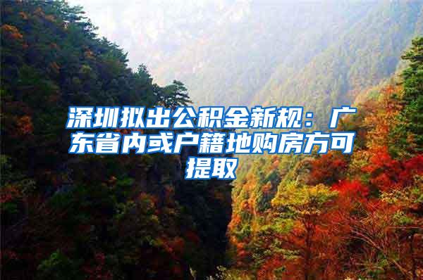 深圳拟出公积金新规：广东省内或户籍地购房方可提取