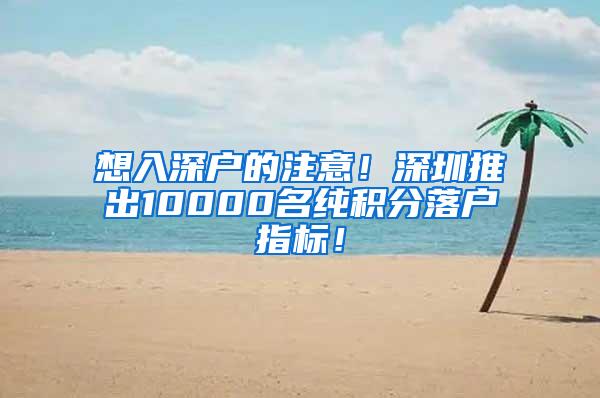 想入深户的注意！深圳推出10000名纯积分落户指标！