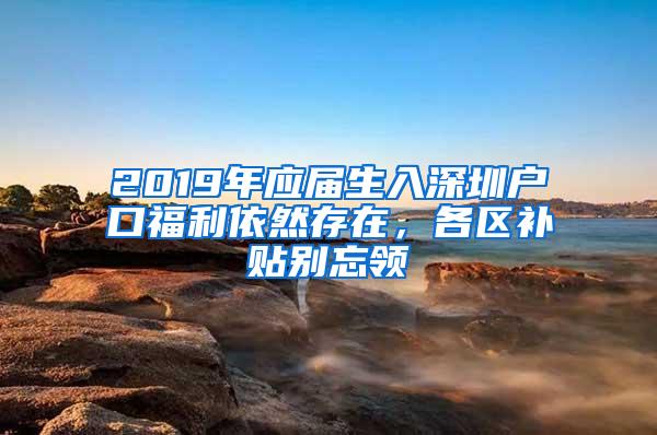 2019年应届生入深圳户口福利依然存在，各区补贴别忘领