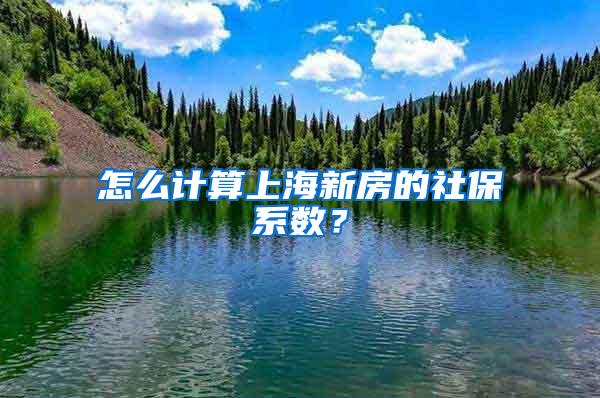 怎么计算上海新房的社保系数？