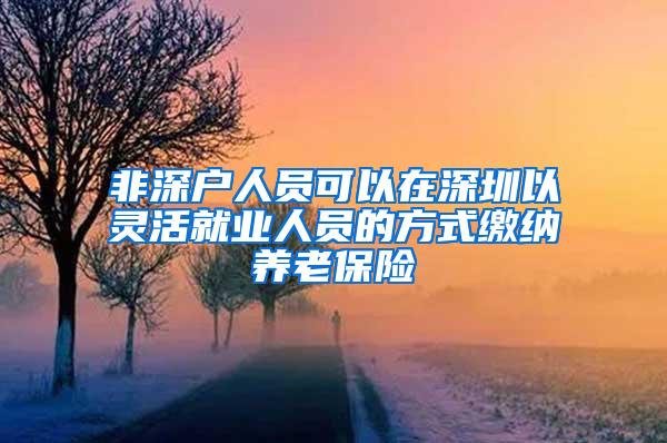 非深户人员可以在深圳以灵活就业人员的方式缴纳养老保险