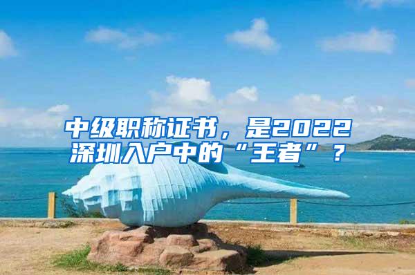 中级职称证书，是2022深圳入户中的“王者”？