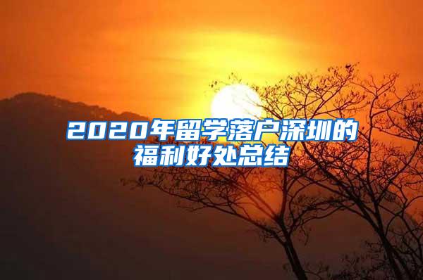 2020年留学落户深圳的福利好处总结