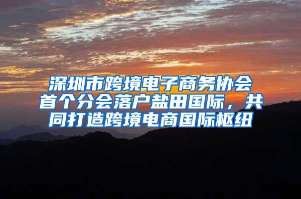 深圳市跨境电子商务协会首个分会落户盐田国际，共同打造跨境电商国际枢纽