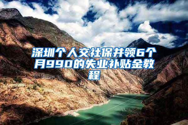 深圳个人交社保并领6个月990的失业补贴金教程