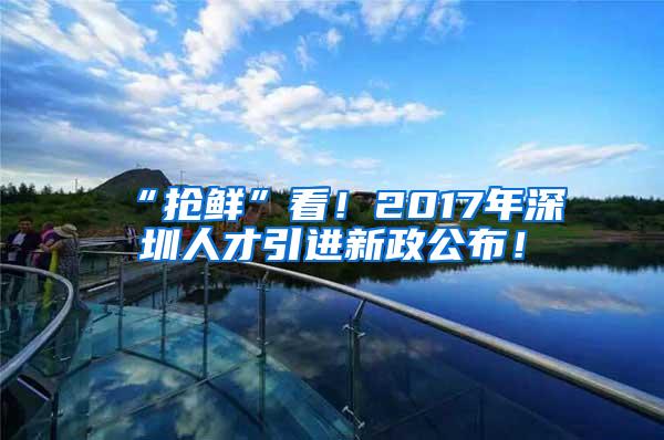 “抢鲜”看！2017年深圳人才引进新政公布！