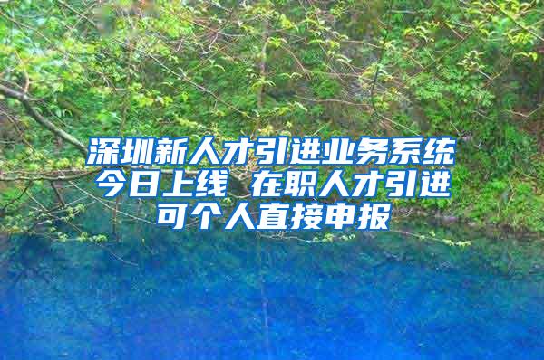 深圳新人才引进业务系统今日上线 在职人才引进可个人直接申报