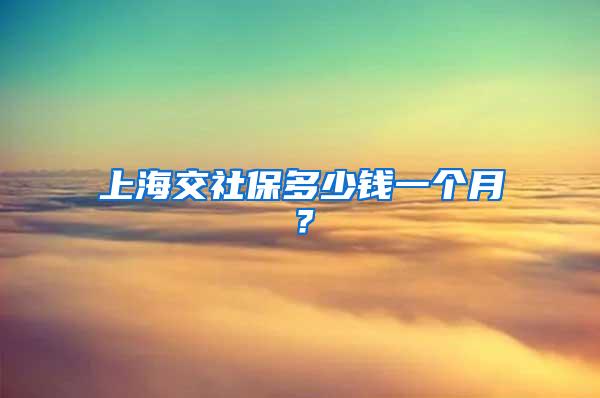 上海交社保多少钱一个月？