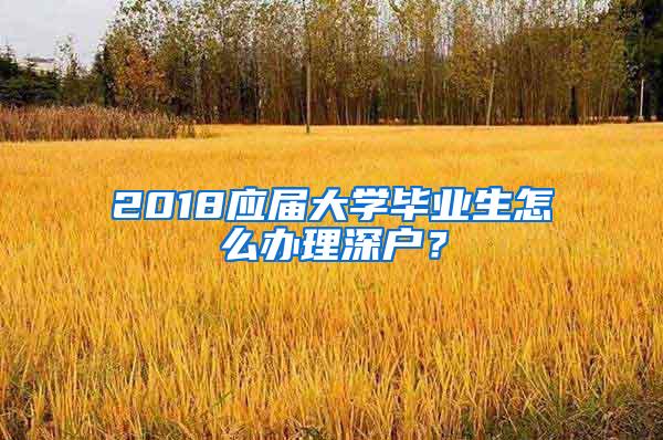 2018应届大学毕业生怎么办理深户？