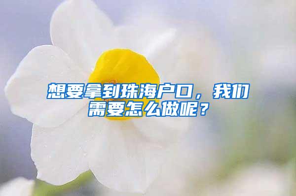 想要拿到珠海户口，我们需要怎么做呢？