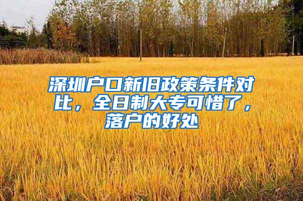 深圳户口新旧政策条件对比，全日制大专可惜了，落户的好处