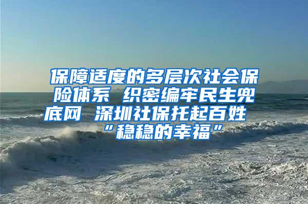 保障适度的多层次社会保险体系 织密编牢民生兜底网 深圳社保托起百姓“稳稳的幸福”