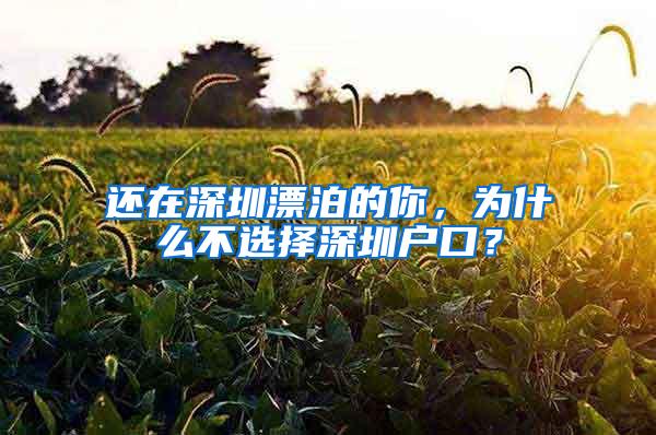 还在深圳漂泊的你，为什么不选择深圳户口？