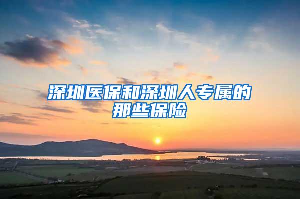 深圳医保和深圳人专属的那些保险