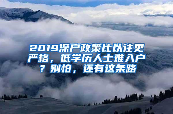 2019深户政策比以往更严格，低学历人士难入户？别怕，还有这条路