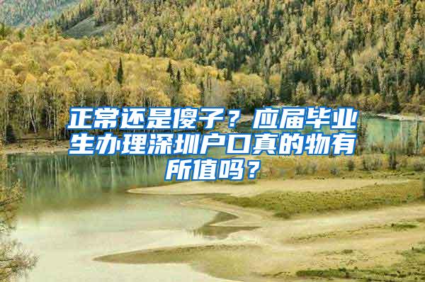 正常还是傻子？应届毕业生办理深圳户口真的物有所值吗？