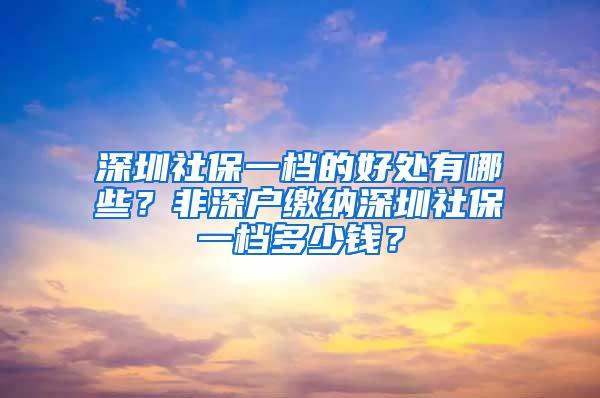 深圳社保一档的好处有哪些？非深户缴纳深圳社保一档多少钱？