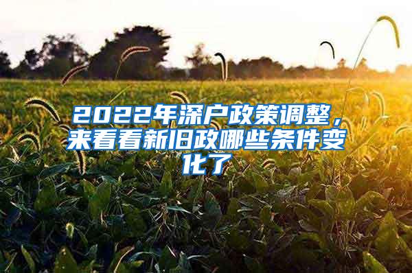 2022年深户政策调整，来看看新旧政哪些条件变化了