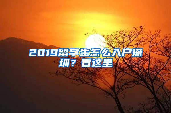 2019留学生怎么入户深圳？看这里