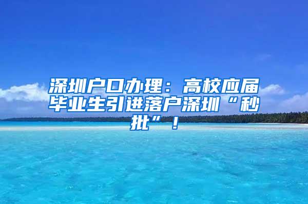 深圳户口办理：高校应届毕业生引进落户深圳“秒批”！