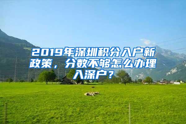 2019年深圳积分入户新政策，分数不够怎么办理入深户？