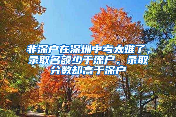 非深户在深圳中考太难了，录取名额少于深户，录取分数却高于深户