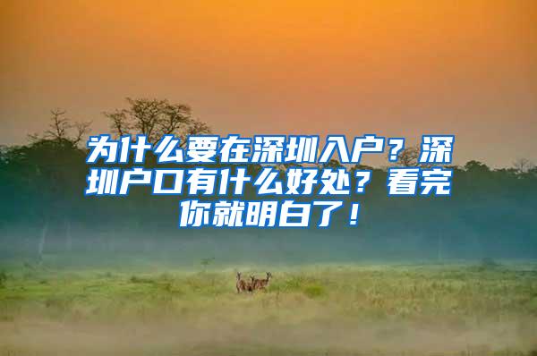 为什么要在深圳入户？深圳户口有什么好处？看完你就明白了！