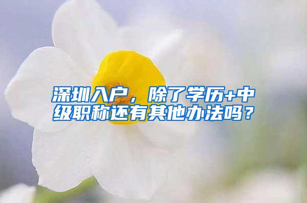 深圳入户，除了学历+中级职称还有其他办法吗？