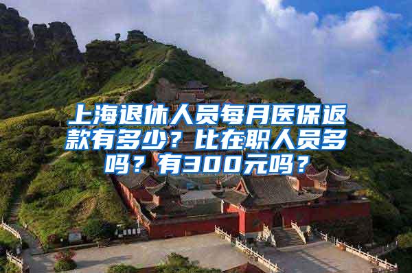 上海退休人员每月医保返款有多少？比在职人员多吗？有300元吗？