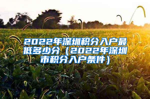 2022年深圳积分入户最低多少分（2022年深圳市积分入户条件）