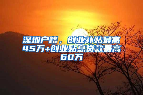 深圳户籍，创业补贴最高45万+创业贴息贷款最高60万