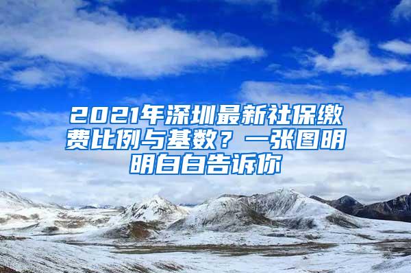 2021年深圳最新社保缴费比例与基数？一张图明明白白告诉你