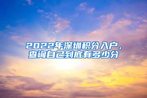 2022年深圳积分入户，查询自己到底有多少分