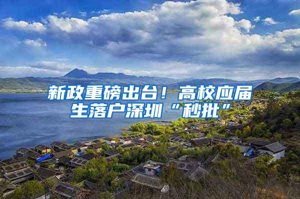 新政重磅出台！高校应届生落户深圳“秒批”