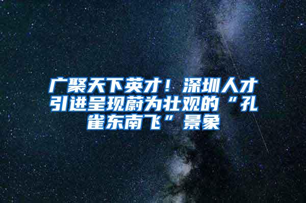 广聚天下英才！深圳人才引进呈现蔚为壮观的“孔雀东南飞”景象