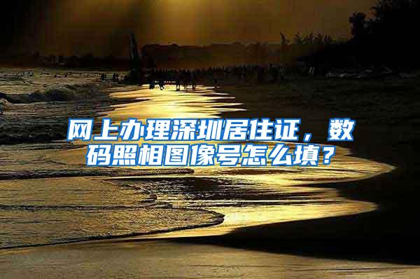 网上办理深圳居住证，数码照相图像号怎么填？