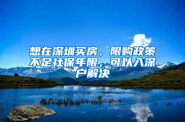 想在深圳买房，限购政策不足社保年限，可以入深户解决