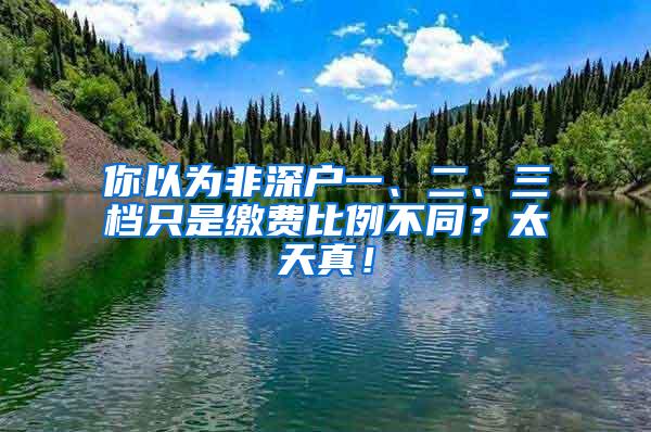 你以为非深户一、二、三档只是缴费比例不同？太天真！