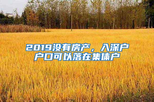 2019没有房产，入深户户口可以落在集体户