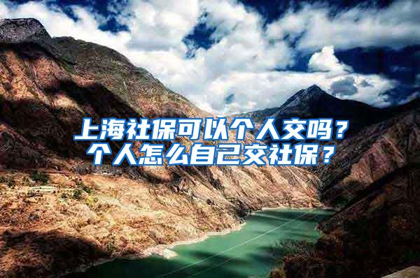 上海社保可以个人交吗？个人怎么自己交社保？