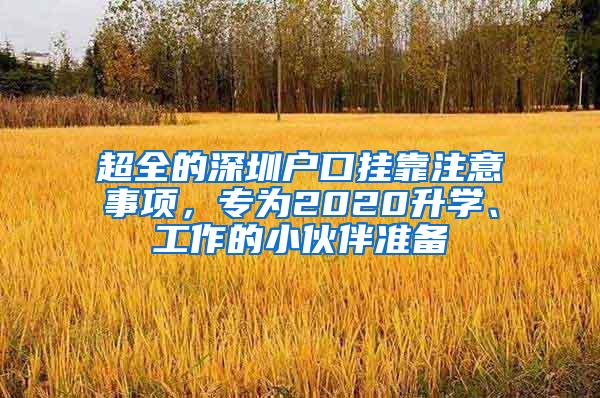 超全的深圳户口挂靠注意事项，专为2020升学、工作的小伙伴准备