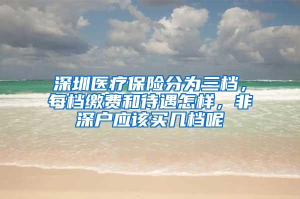 深圳医疗保险分为三档，每档缴费和待遇怎样，非深户应该买几档呢