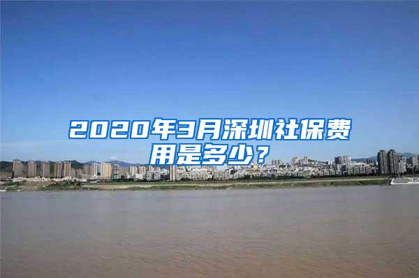 2020年3月深圳社保费用是多少？