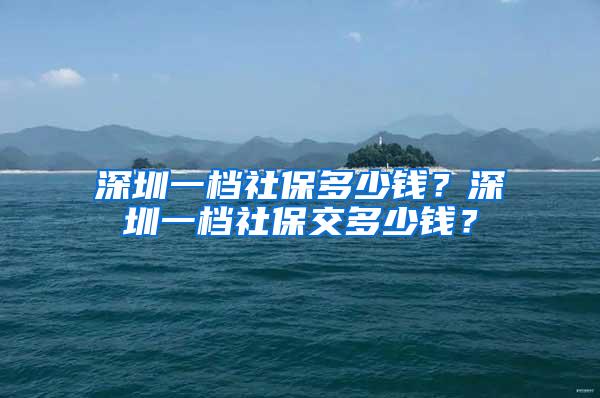 深圳一档社保多少钱？深圳一档社保交多少钱？