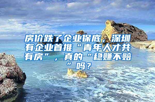 房价跌了企业保底，深圳有企业首推“青年人才共有房”，真的“稳赚不赔”吗？