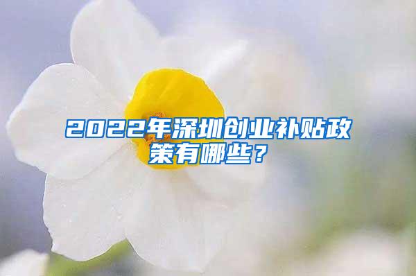 2022年深圳创业补贴政策有哪些？