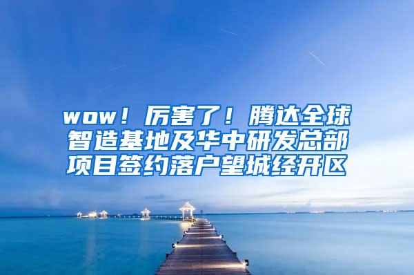 wow！厉害了！腾达全球智造基地及华中研发总部项目签约落户望城经开区